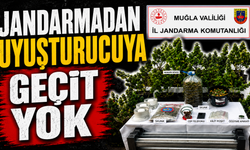Jandarmadan uyuşturucuya geçit yok