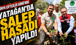 Dünya Çiftçiler Günü’nde Yatağan’da Salep Hasadı Yapıldı