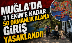 Muğla’da 31 Ekim’e kadar 50 ormanlık alan giriş yasaklandı