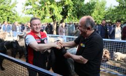Muğla'da Kurban pazarlarında sıkı denetim