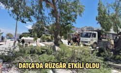 Datça’da rüzgâr etkili oldu