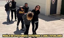 Muğla'da uyuşturucu yetiştiren 3 zanlı tutuklandı