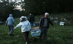 Gezginci arıcıların yayla yolculuğu başladı