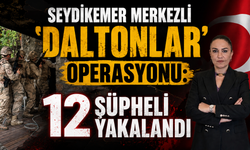 Seydikemer merkezli "Daltonlar" operasyonu: 12 şüpheli yakalandı