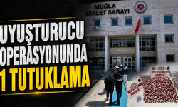 Uyuşturucu operasyonunda 1 tutuklama