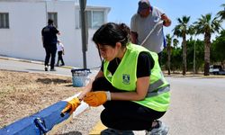 Bodrum'da çevre seferberliği