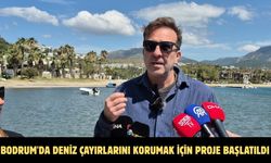 Bodrum'da deniz çayırlarını korumak için proje başlatıldı