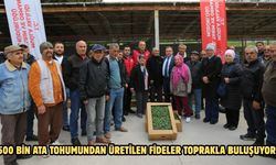 500 bin ata tohumundan üretilen fideler toprakla buluşuyor