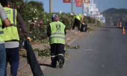BODRUM’DA OT TEMİZLİĞİ ÇALIŞMALARI TÜM HIZIYLA DEVAM EDİYOR