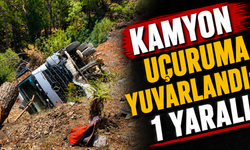 Kamyon uçuruma yuvarlandı: 1 yaralı