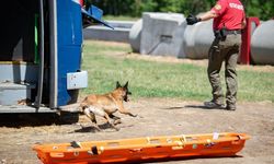 Muğla NAK Arama Kurtarma Köpekleri Macaristan'da sahaya indi