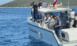 Muğla Valisi Akbıyık'ı denizde yunuslar karşıladı