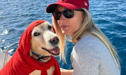 Bodrum'daki köpek davasında sanık beraat etti