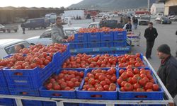 Ocak-Mayıs döneminde Muğla ihracatı yüzde 6,5 arttı