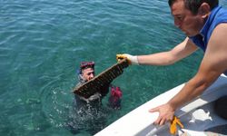 Deniz dibi temizliği Turgutreis’te yapıldı