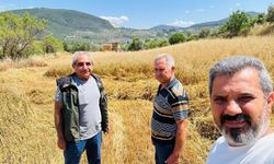 Menteşe’de biçerdöverlere sıkı denetim