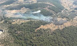 Milas'ta çıkan zirai yangın kısa sürede kontrol altına alındı