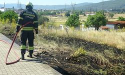 Menteşe'de yol kenarına atılan sigara izmariti yangın çıkardı