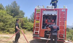 Muğla'da orman yangını ekiplerin hızlı müdahalesi ile söndürüldü