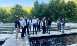 Eşen Havzası’ndaki Alabalık tesislerinde sektör değerlendirmesi