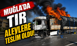 Muğla'da tır alevlere teslim oldu