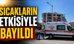 Sıcakların Etkisiyle Bayıldı