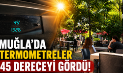 Muğla'da termometreler 45 dereceyi gördü