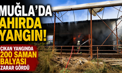 Muğla'da ahırda çıkan yangında 200 saman balyası zarar gördü