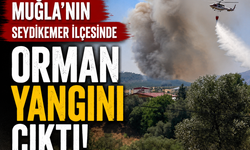 Muğla'nın Seydikemer ilçesinde orman yangını çıktı