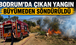 Bodrum’da çıkan yangın büyümeden söndürüldü