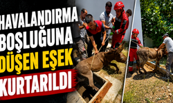 Havalandırma boşluğuna düşen eşek kurtarıldı