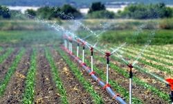 KIRSAL KALKINMA YATIRIMLARI DESTEKLEMELERİNDE BAŞVURU SÜRESİ 30 HAZİRAN'A UZATILDI