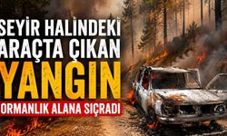 Seyir halindeki araçta çıkan yangın, ormanlık alana sıçradı