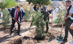 Şehitler için Kurşunlu Camii’nde Mevlid-i Şerif programı düzenlendi