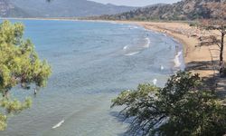 Caretta caretta yavruları mavi sularla buluşmaya başladı