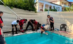 Seydikemer'de kolu yüzme havuzunun emiş borusuna sıkışan çocuk kurtarıldı