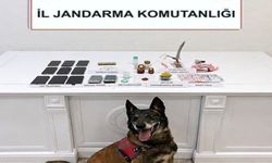 Muğla'da uyuşturucu operasyonlarında yakalanan 5 zanlı tutuklandı