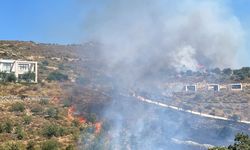 Bodrum’da makilik yangını