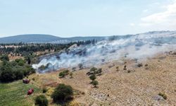 Menteşe’deki makilik yangını kontrol altına alındı