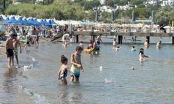 Sahte rezervasyon tuzağı tatil planlarını kabusa çevirdi