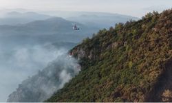 Fethiye'de ekiplerin orman yangını ile ilgili mücadelesi sürüyor