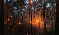 Datça MAG AME ekipleri Göcek'teki orman yangınına destek verdi