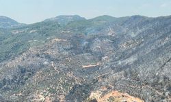 Yeşilden siyaha bürünen alan helikopterden görüntülendi