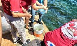 Köyceğiz Gölü’ne yavru balık bırakıldı