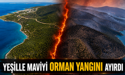 Yeşille maviyi orman yangını ayırdı