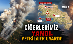 CİĞERLERİMİZ YANDI, YETKİLİLER UYARDI