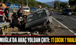 Muğla'da araç yoldan çıktı: 1'i çocuk 7 yaralı