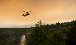 Muğla'nın Seydikemer ilçesindeki orman yangınına müdahale ediliyor