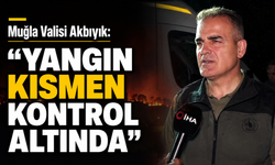 Muğla Valisi Akbıyık: "Yangın kısmen kontrol altında"