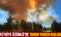Fethiye Üzümlü’de yangın yeniden başladı